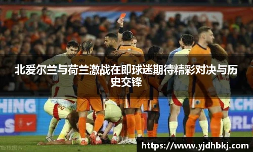 北爱尔兰与荷兰激战在即球迷期待精彩对决与历史交锋